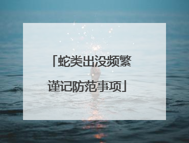 蛇类出没频繁 谨记防范事项
