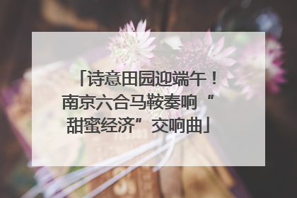 诗意田园迎端午！南京六合马鞍奏响“甜蜜经济”交响曲