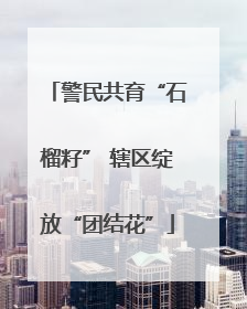 警民共育“石榴籽” 辖区绽放“团结花”