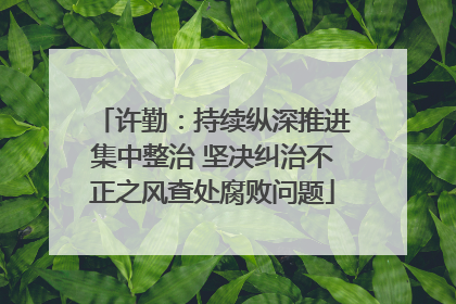 许勤：持续纵深推进集中整治 坚决纠治不正之风查处腐败问题