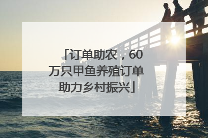 订单助农，60万只甲鱼养殖订单助力乡村振兴
