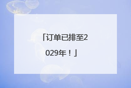 订单已排至2029年！