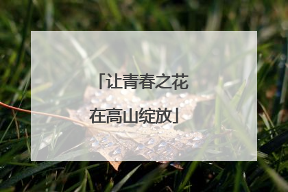 让青春之花在高山绽放