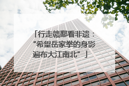 行走赣鄱看非遗：“希望岳家拳的身影遍布大江南北”