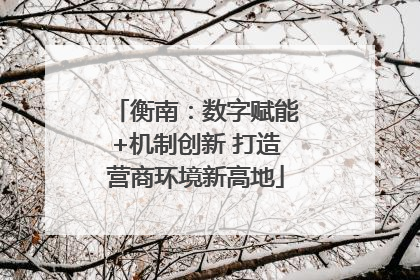 衡南：数字赋能+机制创新 打造营商环境新高地