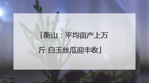 衡山：平均亩产上万斤 白玉丝瓜迎丰收