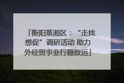 衡阳蒸湘区：“走找想促”调研活动 助力外经贸事业行稳致远