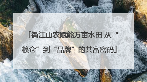 衢江山农赋能万亩水田 从“粮仓”到“品牌”的共富密码