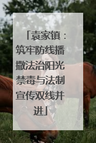 袁家镇：筑牢防线播撒法治阳光禁毒与法制宣传双线并进