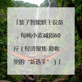 装了智能烘干设备，每吨小麦减损60斤（经济聚焦·夏收里的“新选手”）