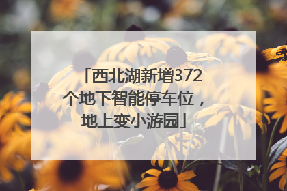 西北湖新增372个地下智能停车位，地上变小游园
