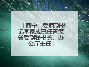 西宁市委原副书记李家成已任青海省委副秘书长、办公厅主任