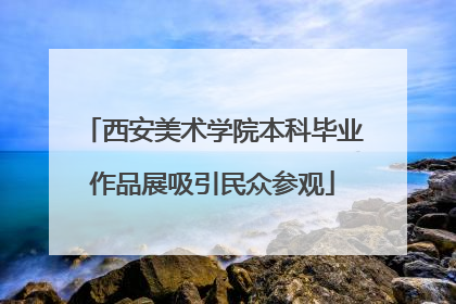 西安美术学院本科毕业作品展吸引民众参观