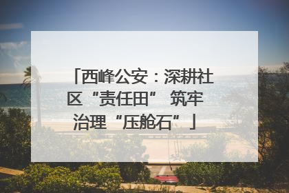 西峰公安：深耕社区“责任田” 筑牢治理“压舱石”