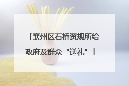 襄州区石桥资规所给政府及群众“送礼”