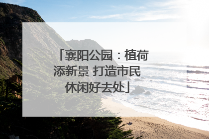 襄阳公园：植荷添新景 打造市民休闲好去处