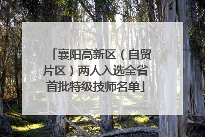 襄阳高新区（自贸片区）两人入选全省首批特级技师名单