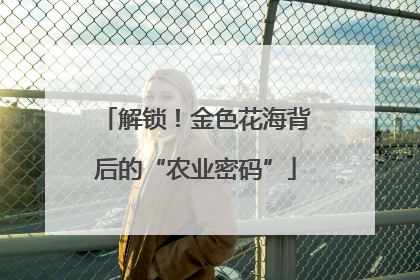 解锁！金色花海背后的“农业密码”