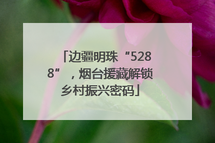 边疆明珠“5288”，烟台援藏解锁乡村振兴密码