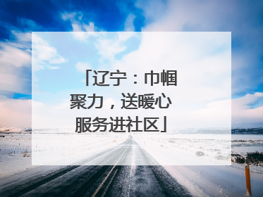 辽宁：巾帼聚力，送暖心服务进社区