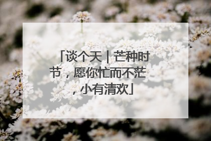 谈个天｜芒种时节，愿你忙而不茫，小有清欢