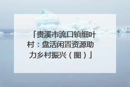 贵溪市流口镇细叶村：盘活闲置资源助力乡村振兴（图）