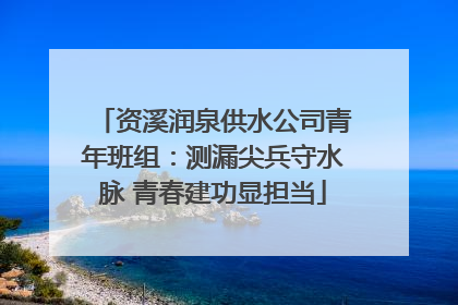 资溪润泉供水公司青年班组：测漏尖兵守水脉 青春建功显担当