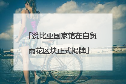 赞比亚国家馆在自贸雨花区块正式揭牌