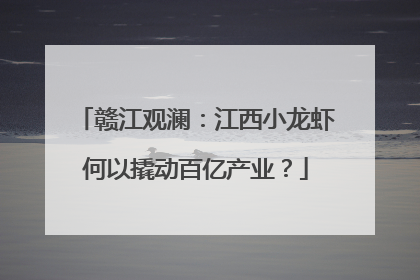 赣江观澜：江西小龙虾何以撬动百亿产业？