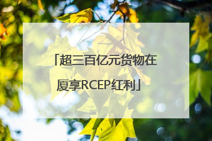 超三百亿元货物在厦享RCEP红利