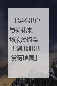 足不出户与荷花来一场浪漫约会！湖北推出赏荷地图