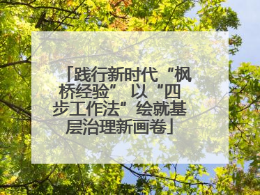 践行新时代“枫桥经验” 以“四步工作法”绘就基层治理新画卷