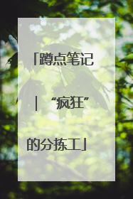 蹲点笔记｜“疯狂”的分拣工