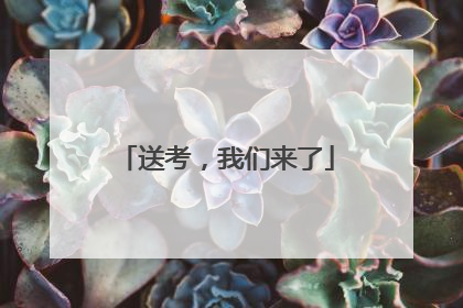 送考，我们来了