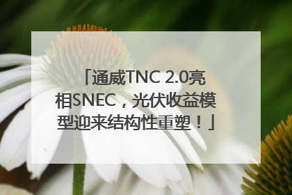 通威TNC 2.0亮相SNEC，光伏收益模型迎来结构性重塑！