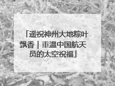 遥祝神州大地粽叶飘香｜重温中国航天员的太空祝福
