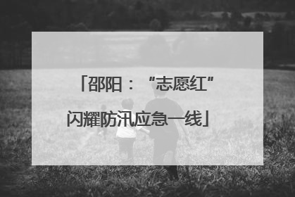 邵阳：“志愿红”闪耀防汛应急一线