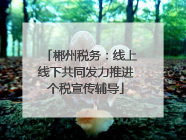 郴州税务：线上线下共同发力推进个税宣传辅导