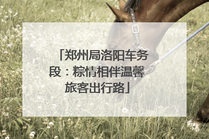 郑州局洛阳车务段：粽情相伴温馨旅客出行路