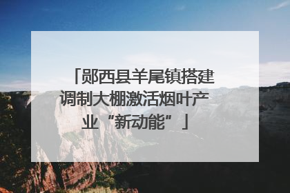 郧西县羊尾镇搭建调制大棚激活烟叶产业“新动能”