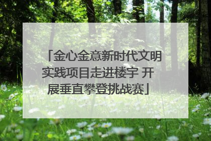 金心金意新时代文明实践项目走进楼宇 开展垂直攀登挑战赛