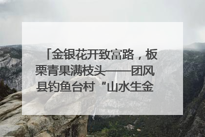 金银花开致富路，板栗青果满枝头——团风县钓鱼台村“山水生金”谱写共富新篇章