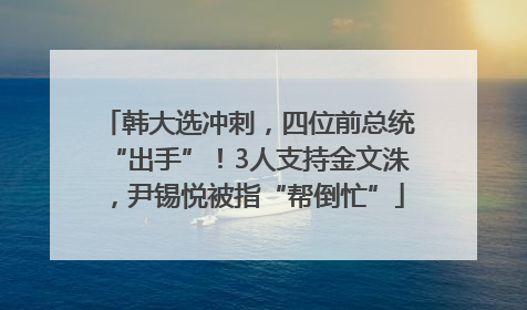 韩大选冲刺，四位前总统“出手”！3人支持金文洙，尹锡悦被指“帮倒忙”