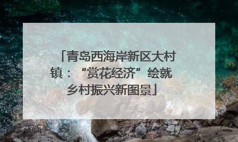 青岛西海岸新区大村镇：“赏花经济”绘就乡村振兴新图景