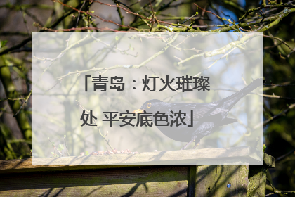青岛：灯火璀璨处 平安底色浓