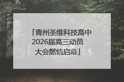 青州圣维科技高中2026届高三动员大会燃情启幕
