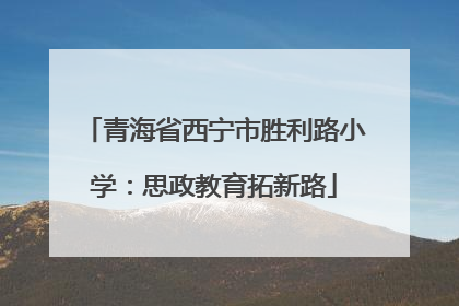 青海省西宁市胜利路小学：思政教育拓新路