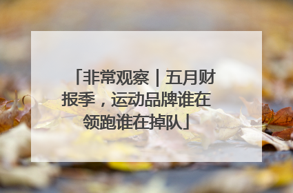 非常观察｜五月财报季，运动品牌谁在领跑谁在掉队