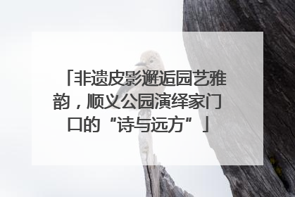 非遗皮影邂逅园艺雅韵，顺义公园演绎家门口的“诗与远方”