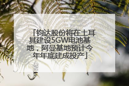 钧达股份将在土耳其建设5GW电池基地，阿曼基地预计今年年底建成投产